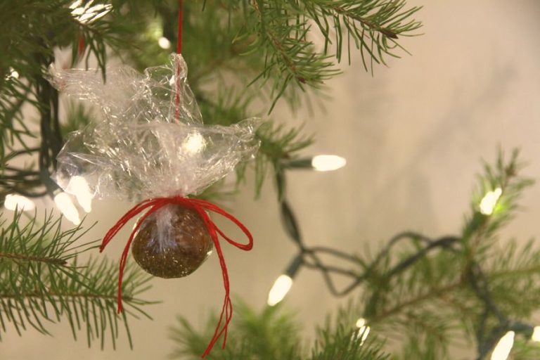 An apricot ball wrapped in clear wrap and tied with red ribbon, hanging on the tree