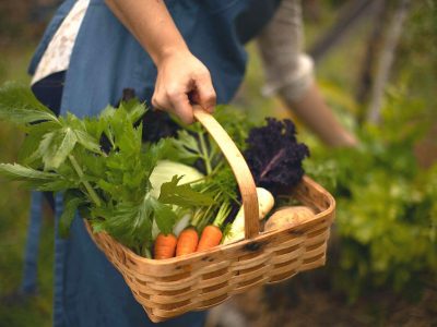 a woman in a blue apron gathering up a basket of fresh vegetables
