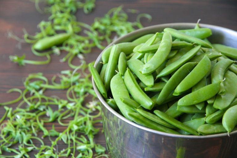 A tin bowl filled with fresh garden peas that have been trimmed and are ready to be blanched