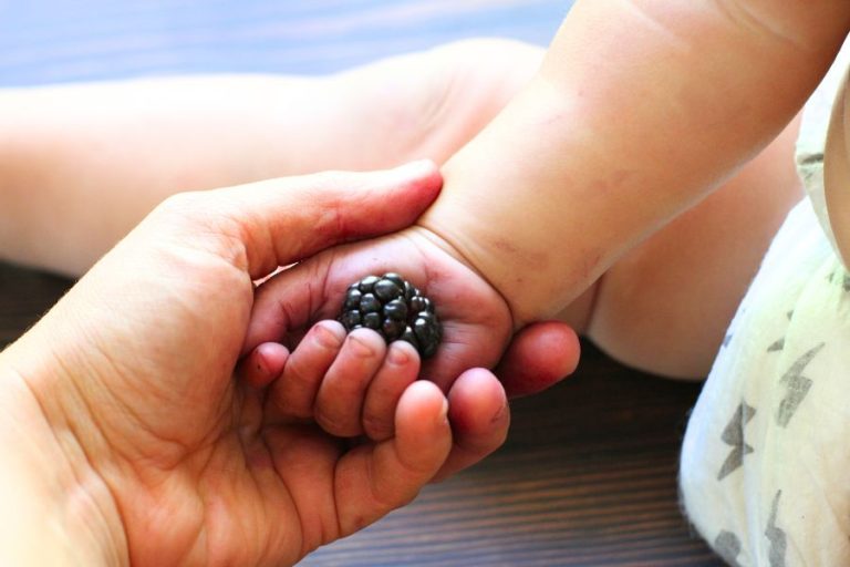 a baby's stained hand holding a blackberry