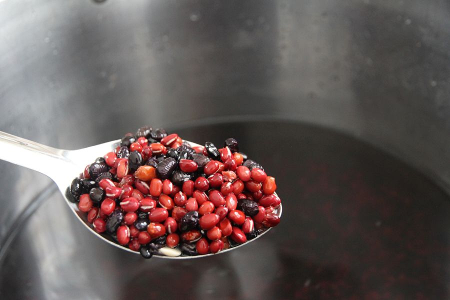 A spoonful of dry beans that needs to be hydrated for pressure canning