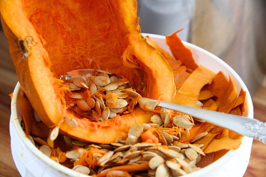 Half a pumpkin with seeds being scraped into a compost pail with a metal spoon.