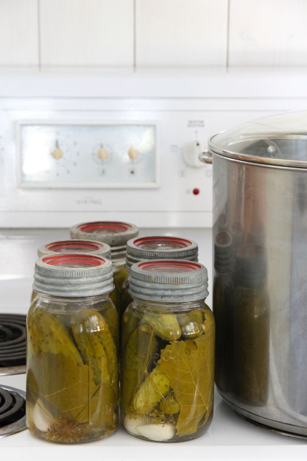Jars of home canned pickles sitting next to a stainless steel water bath canner.