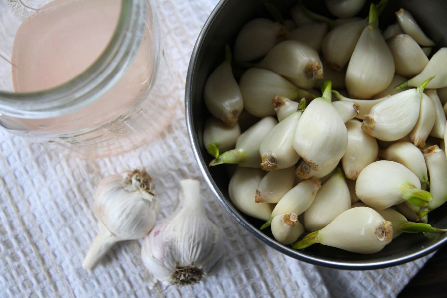 Whole garlic cloves sitting next a jar of brine and a bowl of freshly peeled raw garlic.