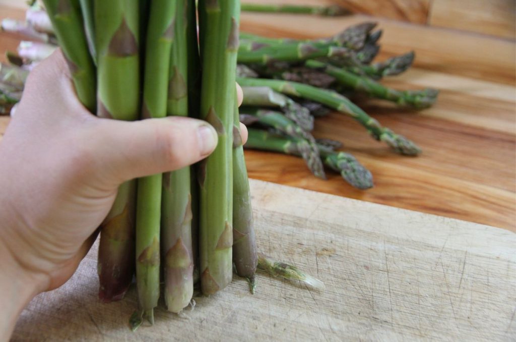 A bundle of fresh asparagus being held upright on a cutting board to even tough ends for cutting.