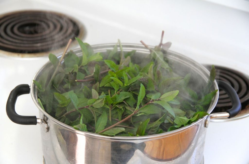 A stock pot overflowing with fresh mint that has just been added to the hot water.
