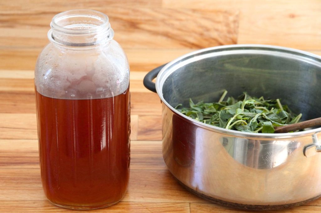 Deeply colored red tone peppermint tea in a half gallon glass jar