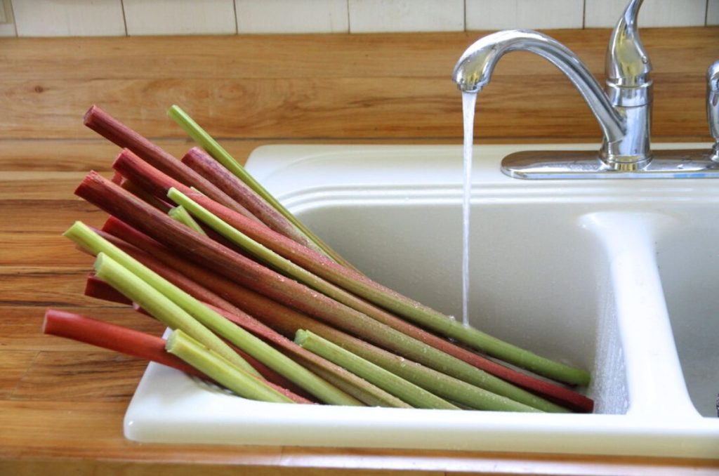 Stalks of green and red rhubarb piled up in a white kitchen sink with running water.