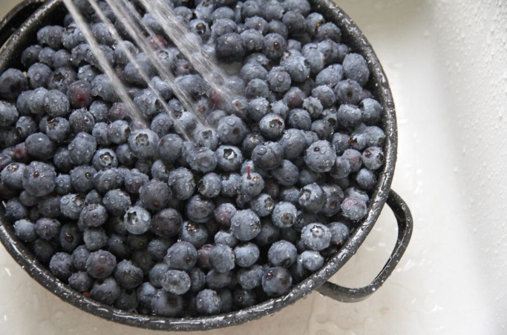 A blue colander filled with blueberries that have a waxy white natural coating.