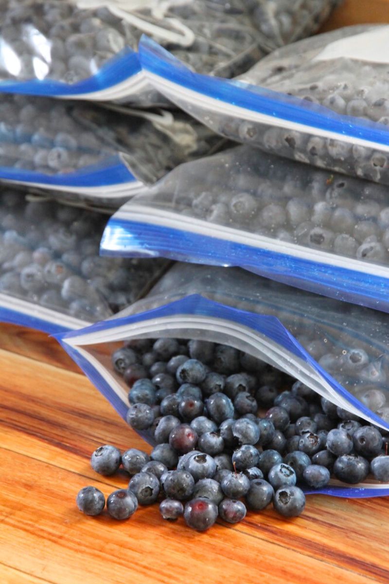 Six ziploc freezer bags stacked on their sides, filled with blueberries for freezing.