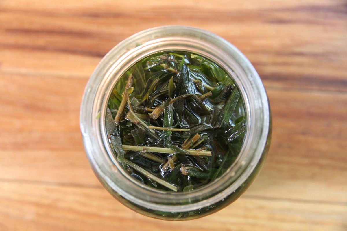 A glass jar filled with fresh lavender and topped with carrier oil.