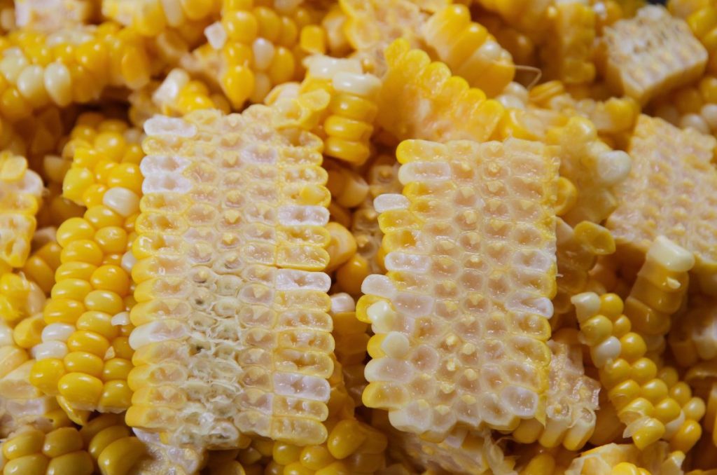 Two slabs of sweet corn laying side by side. One has been cut too deep and shows some of the grey cob, while the other is done as it should be is another but milky, sweet corn.
