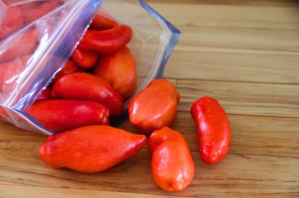 A bag of ripe tomatoes, ready to be put into the freezer.