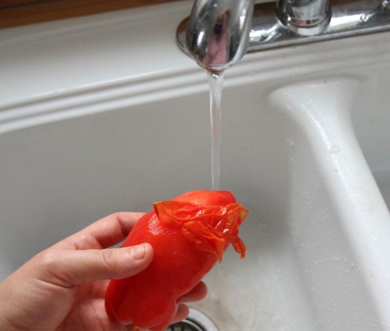 Peeling a whole tomato by hand under hot running water.