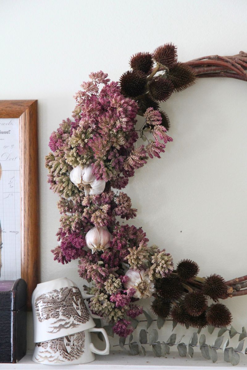 A woven wreath frame half filled with dry oregano flowers, echinacea centers and russian red garlic.