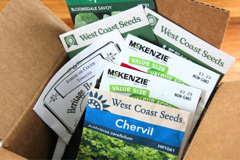 A box of garden seed packets from my favorite 3 companies in Canada