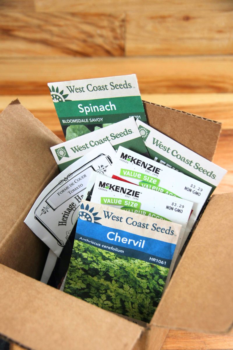 A shipped box filled with heirloom seeds, organic seeds and open pollinated garden seed.