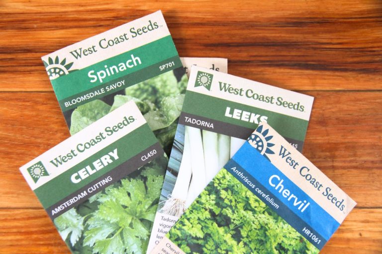 A pile of seed packages with clear labels for the buyer to read.