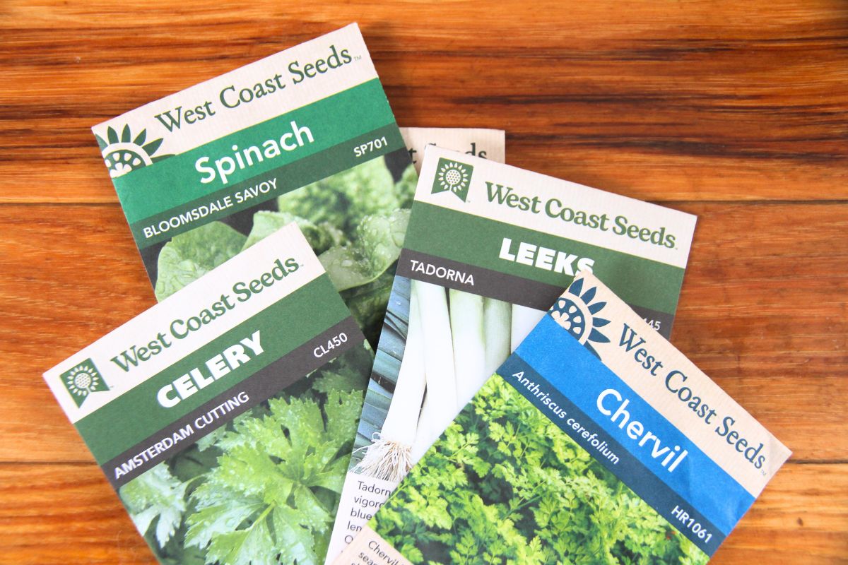 A pile of seed packages with clear labels for the buyer to read.