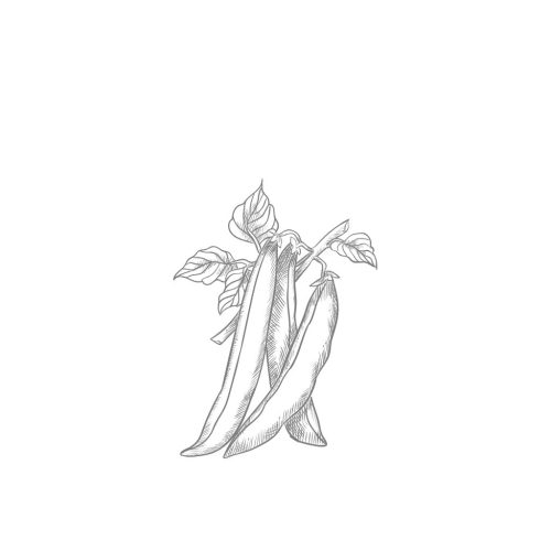 Three pea pods clustered together with a few leaves.