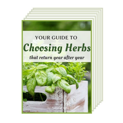 An image of an printable with basil growing in a wood box