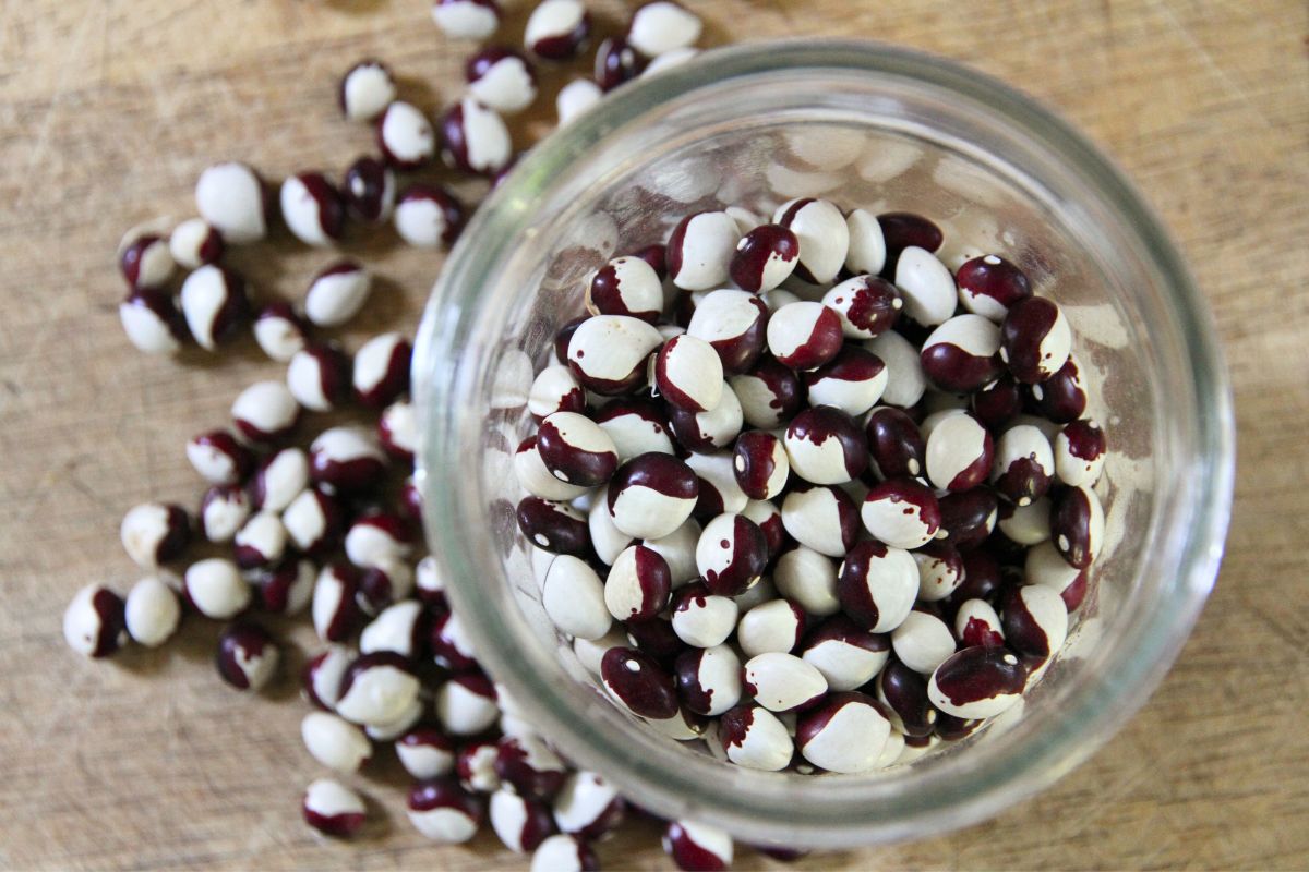 A jar of dry and shelled cranberry beans in white and red colors.