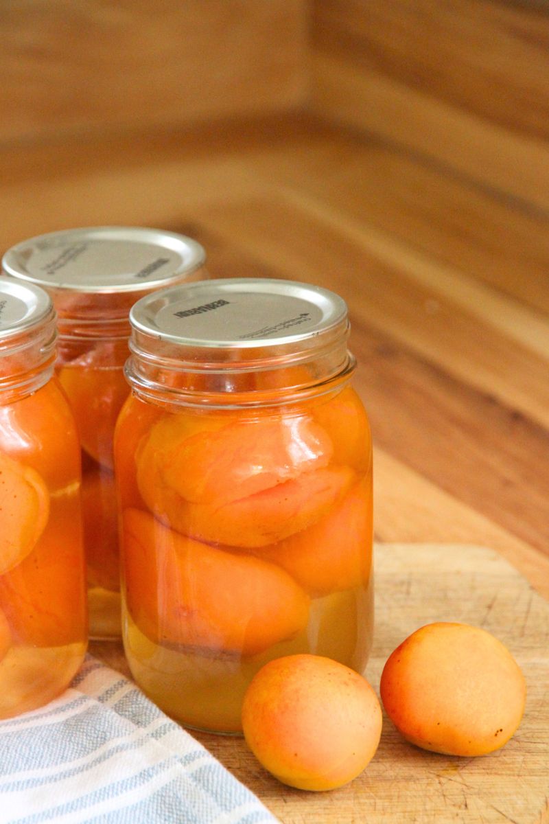 Fresh apricots sitting on a kitchen counter by pint jars of freshly canned apricots.