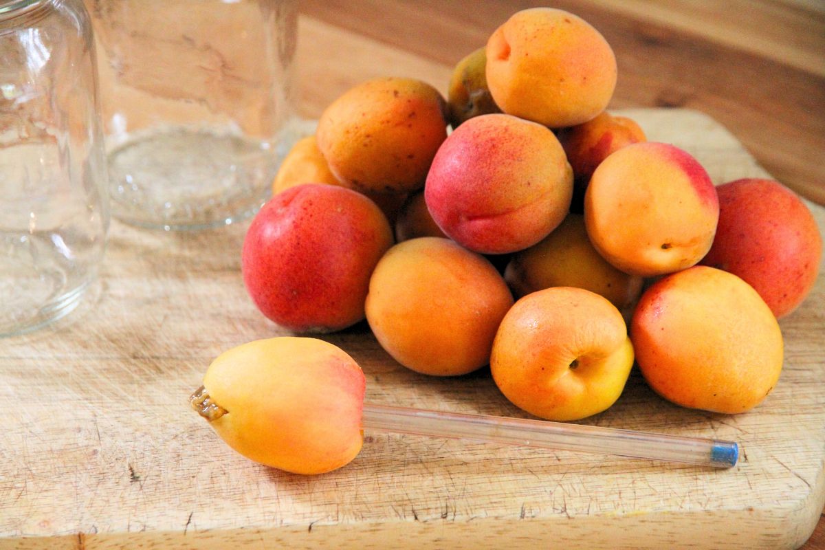 A pile of whole apricots on a cutting board, with a  half-pitted single apricot.