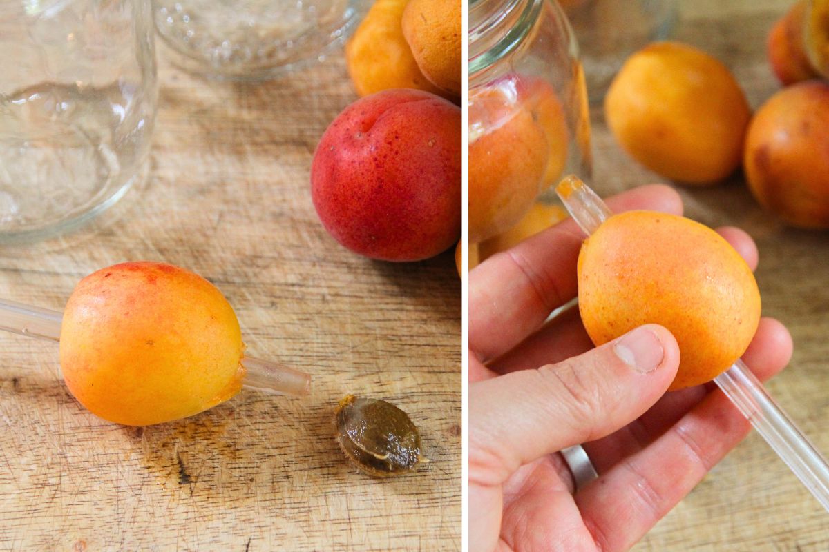 Pushing seeds through a whole apricot using a BIC pen.