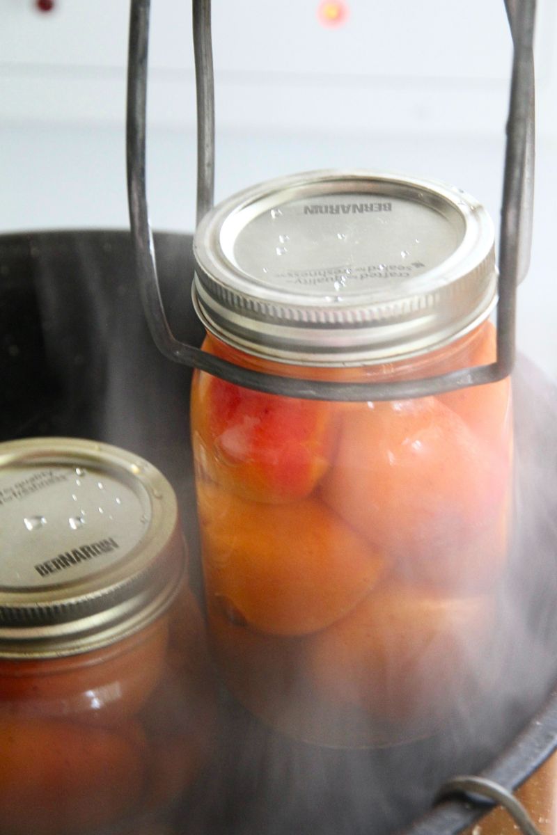 A jar of hot pack apricots being lifted from a water bath canner.