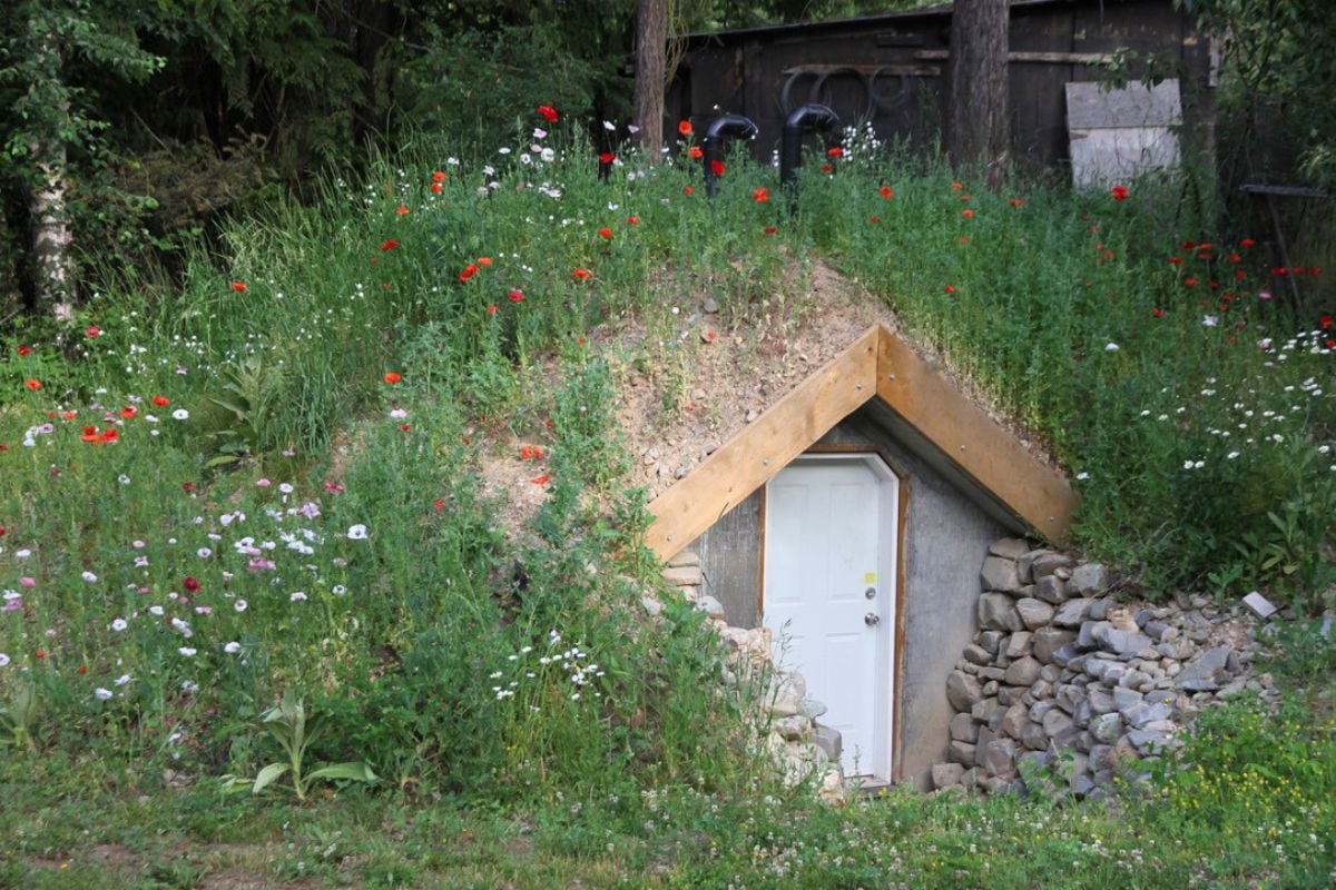 A small, concrete root cellar with a white door, partially buried in a hillside.