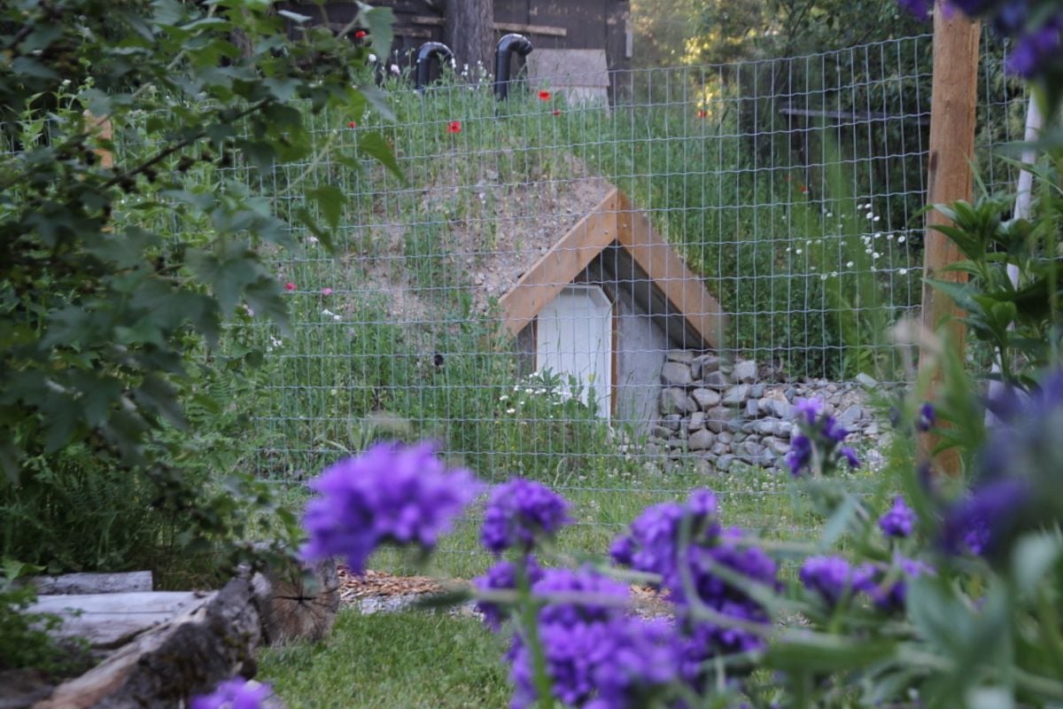 A small concrete root cellar buried in a small hillside.