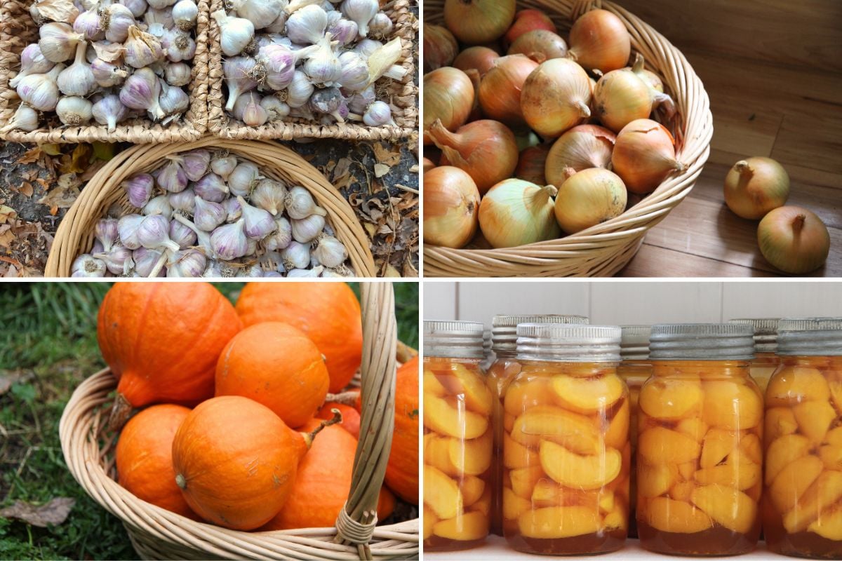 Garlic, onions, pumpkins or winter and home canned food are things you shouldn't store in a root cellar