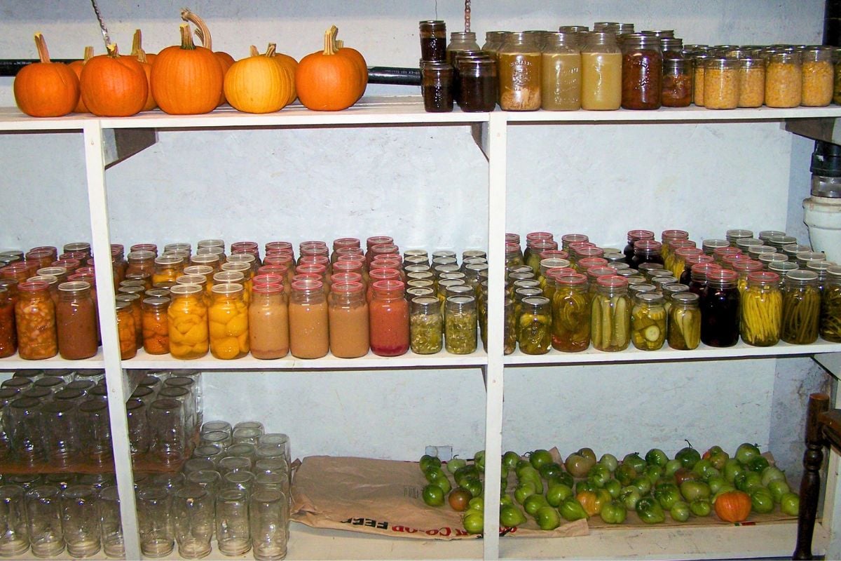 The basement root cellar where I learned to store fruit and vegetables over winter. 