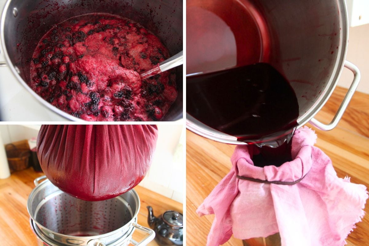 Images showing the making of blackberry juice from fresh blackberries.