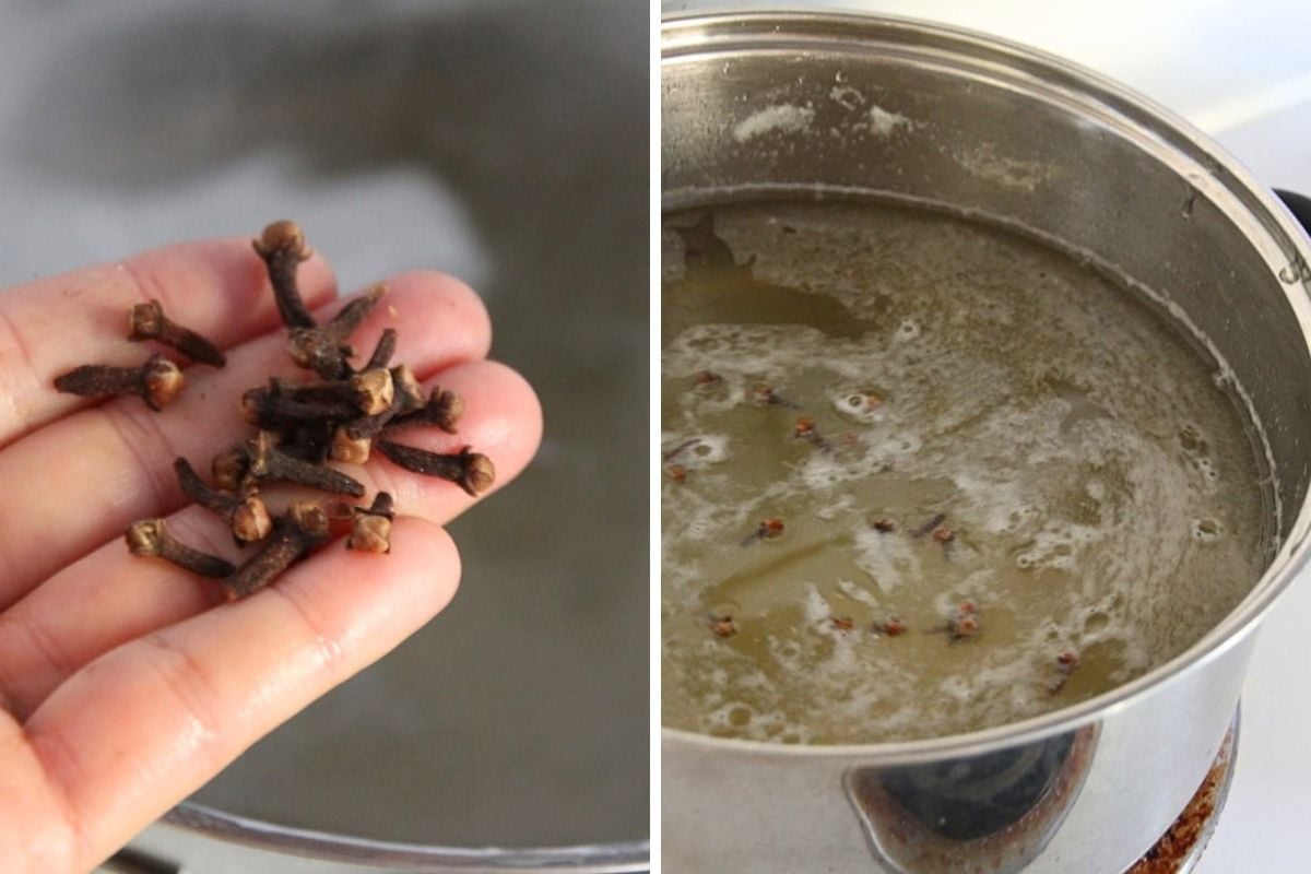 Adding cloves to a pot of honey and water syrup, for extra spice and flavor.