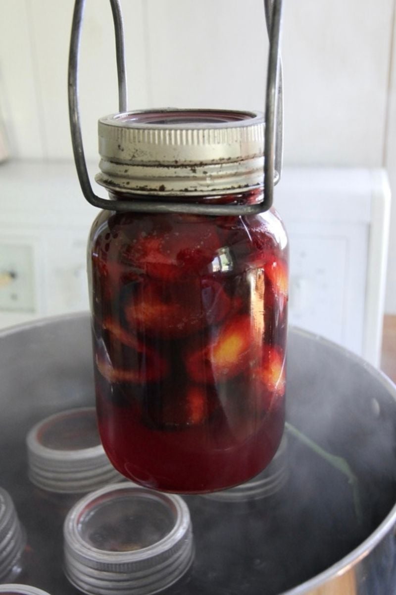 A quart jar of home canned plums, with deep red juice and yellow plum flesh showing through.